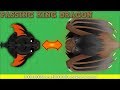 MOPE.IO PASSING KING DRAGON!? LEGENDARY DRAGON AFTER KING DRAGON? Mope.io Hack/Glitch [Mopeio]