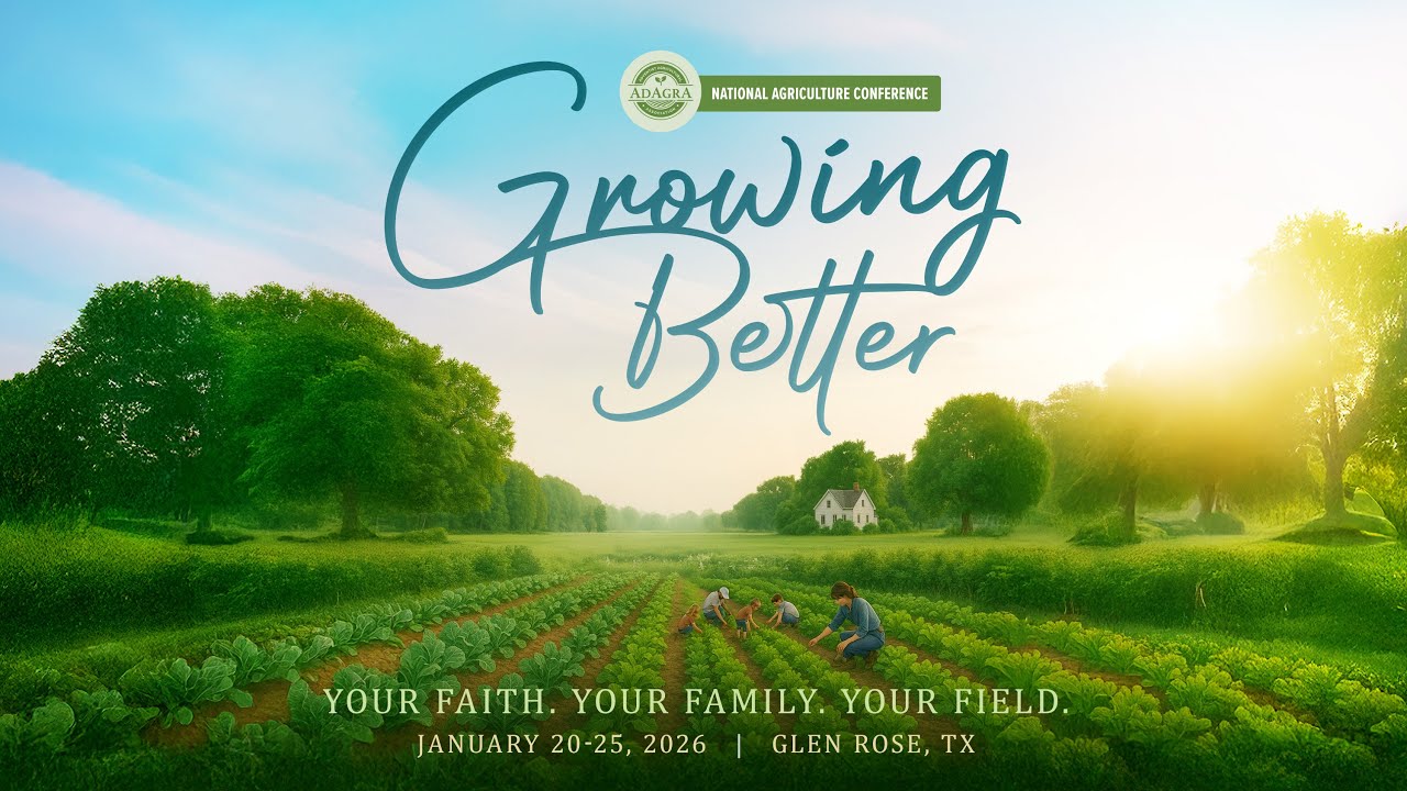 Another Ark to Build -- Narlon Edwards / AdAgrA 2026