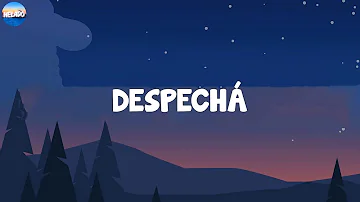 Rosalía - DESPECHÁ (Letra/Lyrics)
