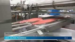 Производство охлажденного филе семги. Automation in salmon fillet processing(, 2014-07-22T05:24:17.000Z)