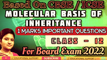 Molecular basis of inheritance|1 mark important questions|Class12|cbse/icse