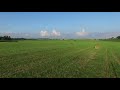 РБ Щербовичи аисты на поле 4K (DJI Phantom 3 Pro)