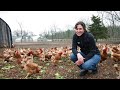 How spoiled food becomes farm-fresh eggs in Bucks County