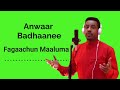 Anwaar Badhaanee Fagaachun Maaluma