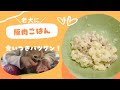 【豚肉ごはん】老犬介護士の教科書に載っていたレシピを作ってみた！