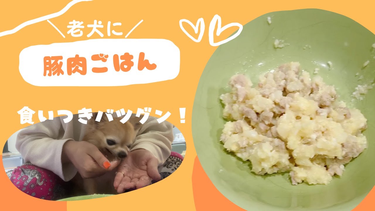 豚肉ごはん 老犬介護士の教科書に載っていたレシピを作ってみた Youtube