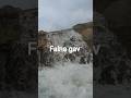 falna gav