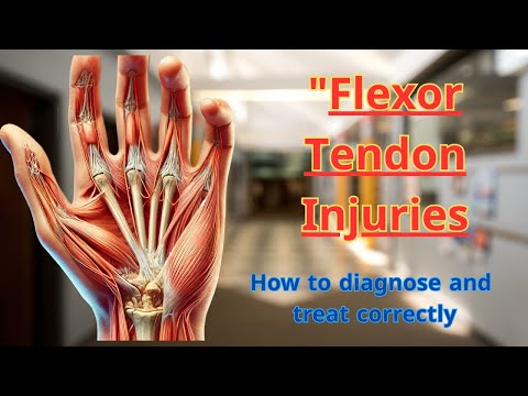 Dog Flexor Tendon Injury Treatment