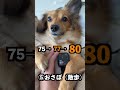 心躍らないのは◯◯◯でした #shorts