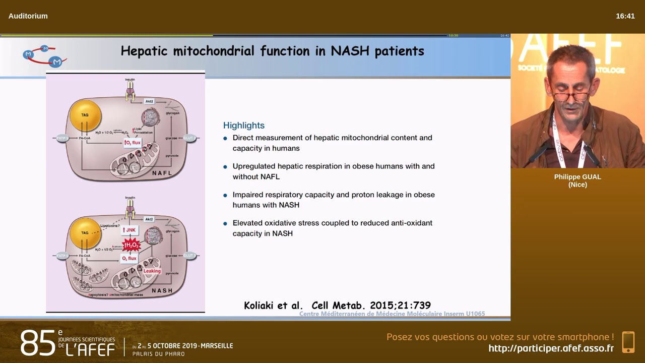 Physiopathologie de la NASH - P. Gual