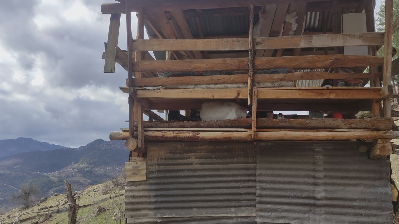 Alone in the Forest Cabin | Preparing for Winter and a Rainy Village Evening