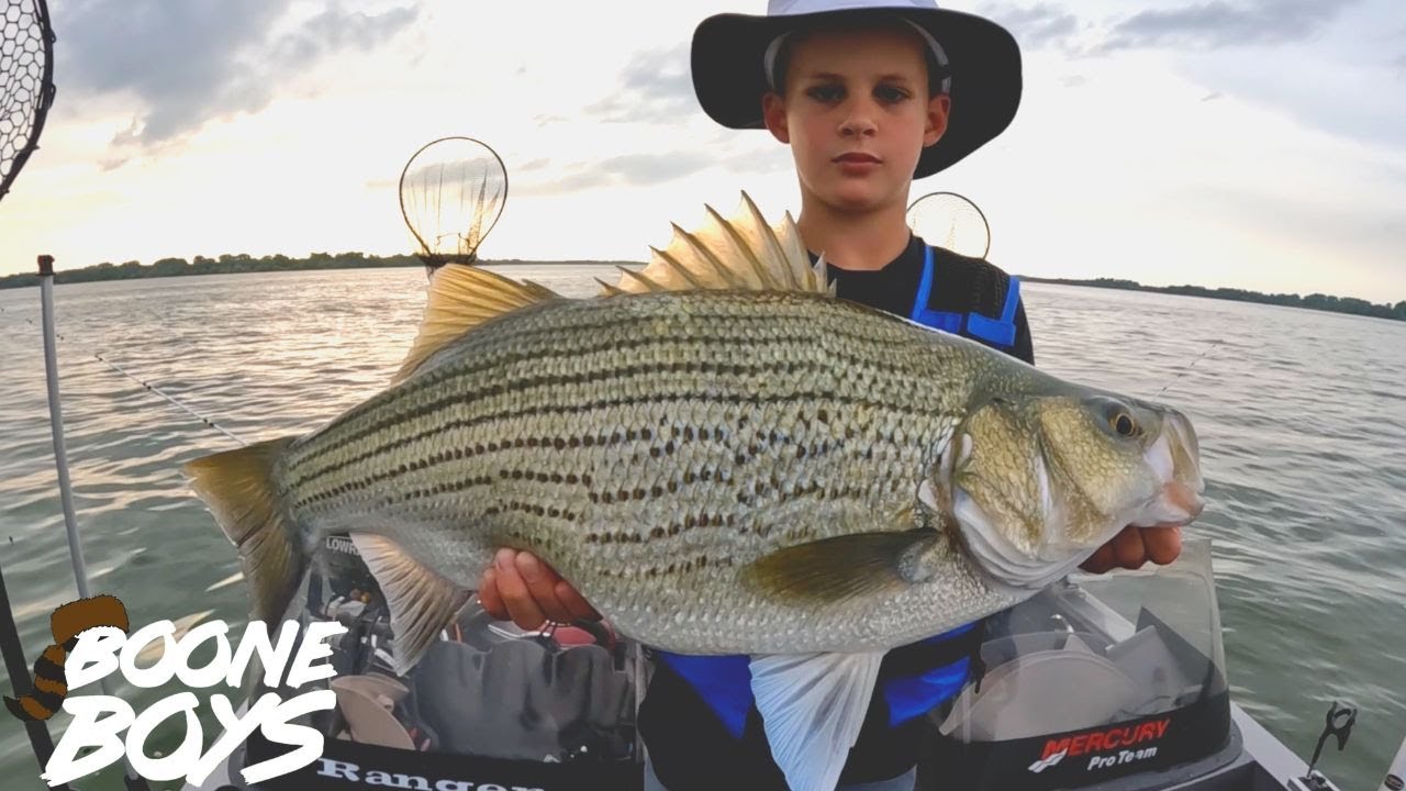 How to Catch Big Fish with Live Shad