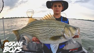 How to Catch Big Fish with Live Shad | Fishing Tips and Techniques