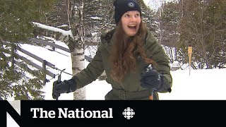 Ukrainians in Canada find joy in cross-country skiing | The Moment