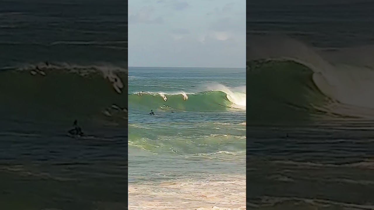 Clips