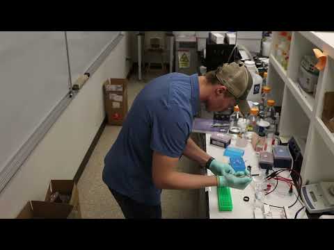 Experience One at the University of Montana Western