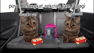 Pov : berangkat sekolah jam 7 pagi | meme kucing 🤣 1