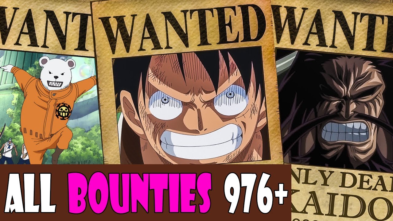 One Piece New Bounty Comparison