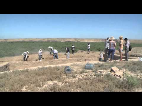 Video: Arheologi So V Luksorskih Pokopališčih Našli Organe 