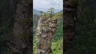 Zhangjiajie National Forest Park（20250425 132134）