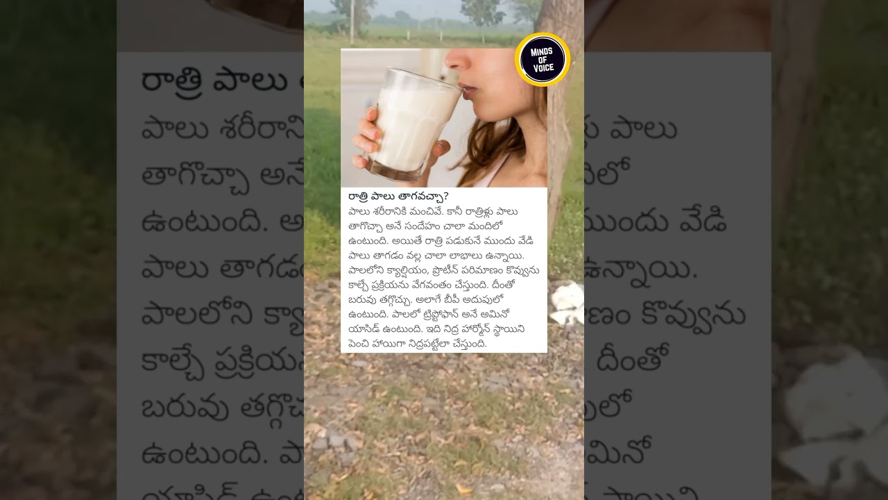 Should You Drink Milk at Night? 🥛🌙 