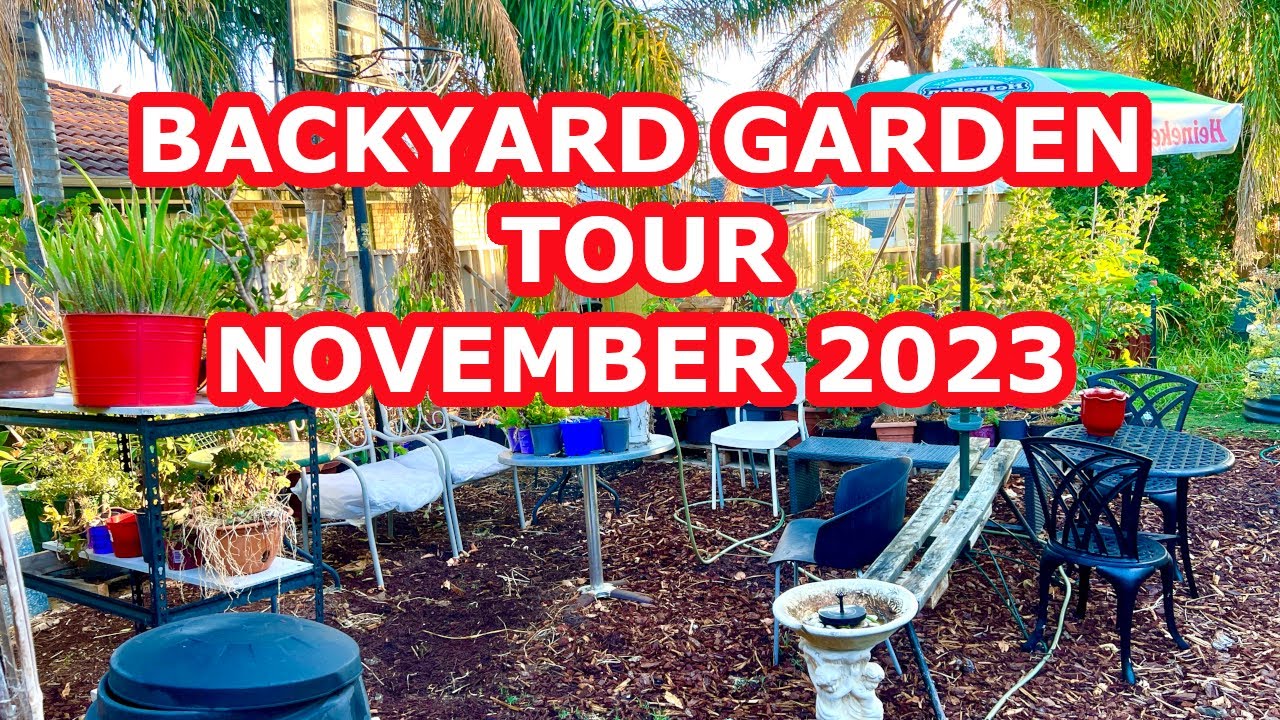 Backyard Garden Tour (November 2023) YouTube