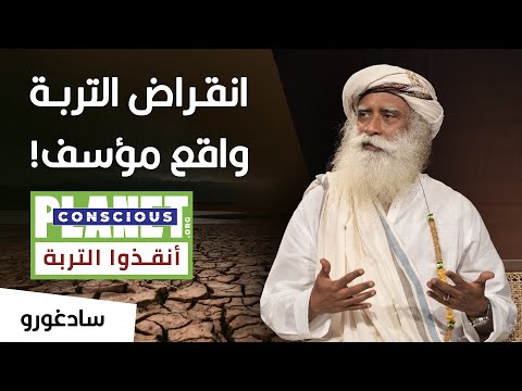 فيديو: سهولة الوجود غير المتوقعة؟