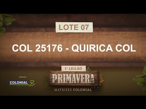 LOTE 07   COL 25176