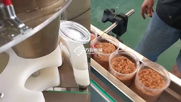 Pork floss and dried meat floss weighing filling sealing machine packaging line