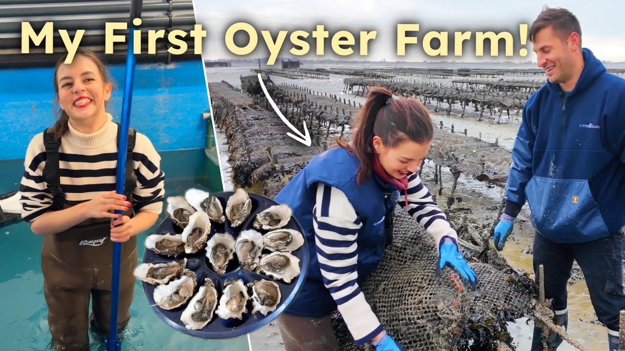 I Didn’t Expect Brittany to Become My Favorite Place in France (Saint Malo, Bretagne)