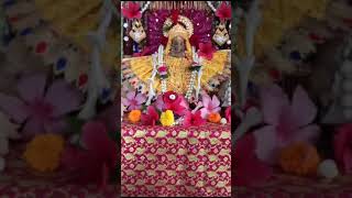🙏 jai ganpati bappa 🙏