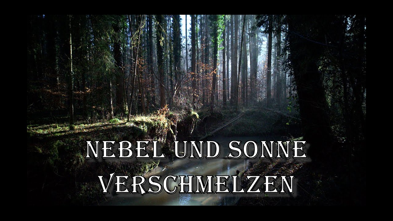 Nebel und Sonne verschmelzen in stiller Harmonie mit der Natur