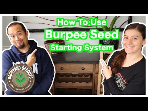Video: Lahat ba ng Burpee Seeds ay organic?