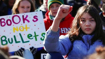 Gun Control Visual Argument Video