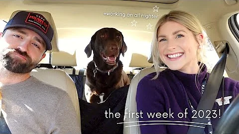 WEEK IN MY LIFE AS A FLIGHT ATTENDANT | working an...