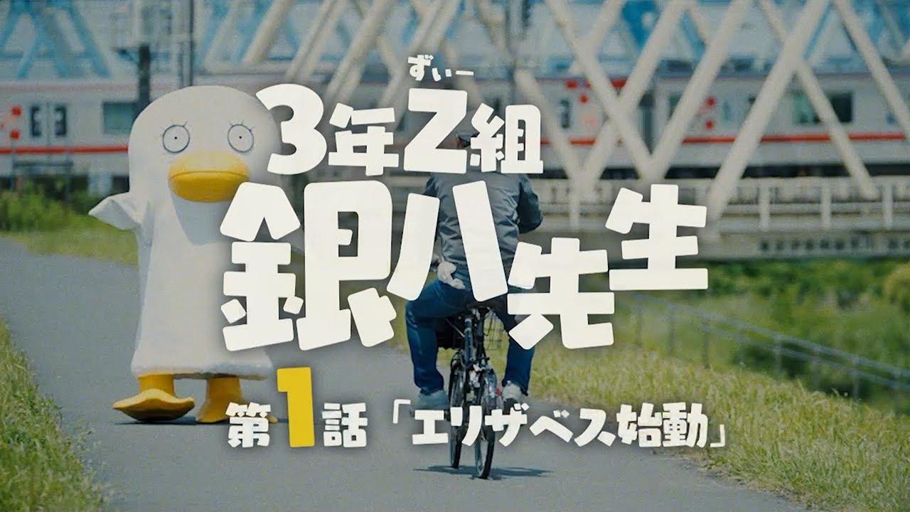 銀魂 みくじ キャラフォーチュン 占い 3年Z組 銀八先生 エリザベス 銀魂 みくじ キャラフォーチュン 占い 3年Z組 銀八先生 エリザベス