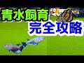 メダカの青水飼育完全攻略~グリーンウォーターのすべて~【媛めだか】