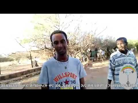 ቪዲዮ: ለፍጹም ውድድር የሚያስፈልጉት አምስቱ ሁኔታዎች ምን ምን ናቸው?