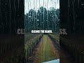 Glass Orchard of Brand Color