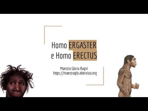 HOMO ERGASTER E HOMO ERECTUS - Storia cl.3° - Maestra Gloria