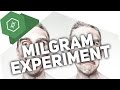 Das Milgram-Experiment – Verhaltensbiologie 4