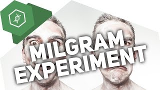 Das Milgram-Experiment – Verhaltensbiologie 4