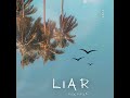 POPZ - LIAR || [official audio]