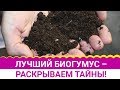 Лучший биогумус – раскрываем тайны!