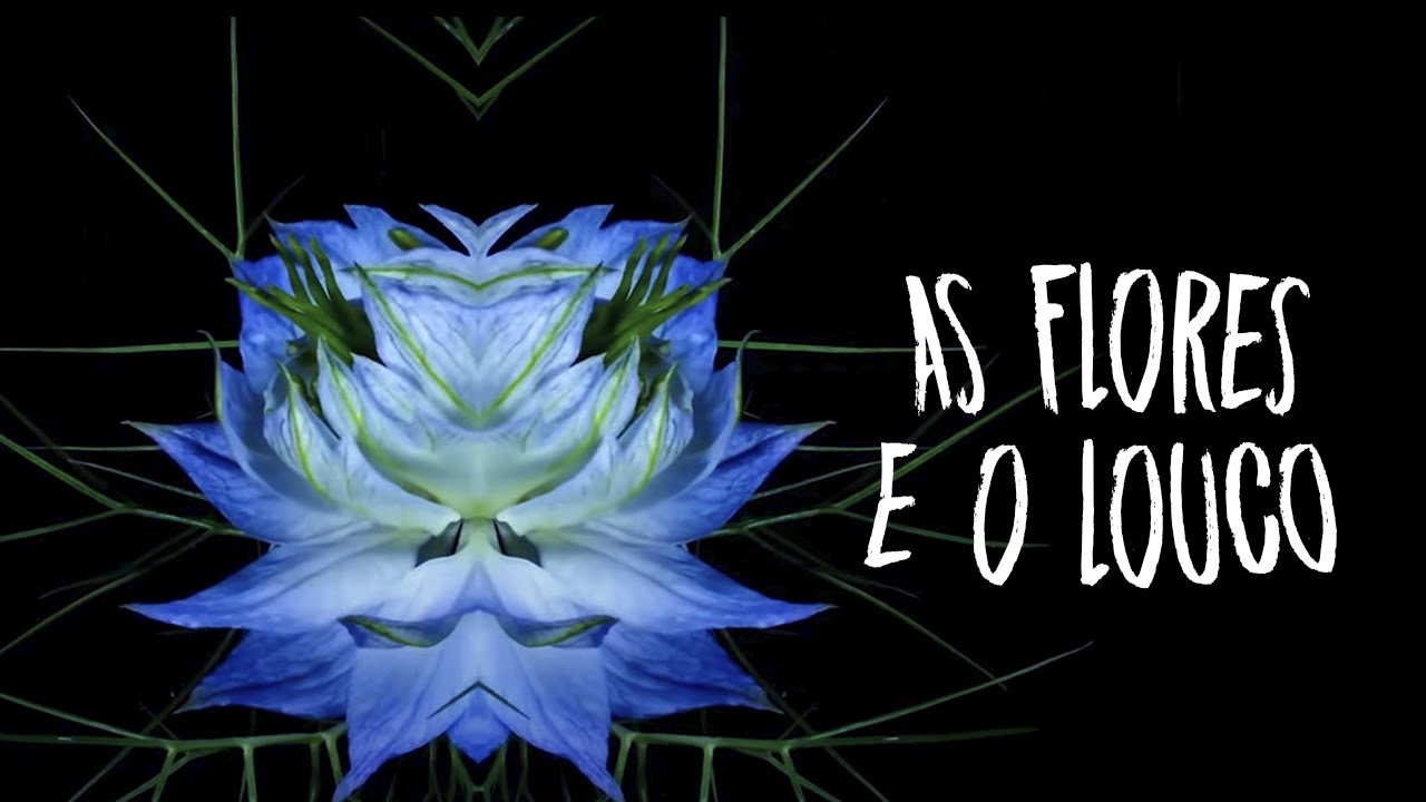 As Flores e o Louco