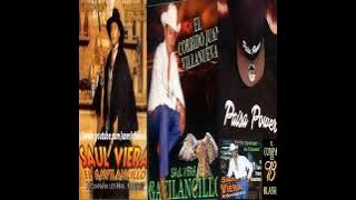 Corridos Bien Fregones - Saul Viera El Gavilancillo - Corridos De Los 90's