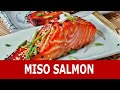Miso salmon recipe- How to cook the most popular Japanese salmon dish