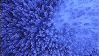 Download lagu BEAUTY OF WINTERS : SNOWFALL & CHILL BREEZES