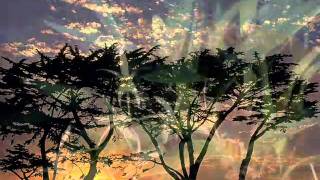 سورة ق كامله_الشيخ عبدالله خياط