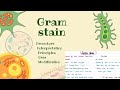 Microbiology Gram stain procedure, Principles, uses , modification